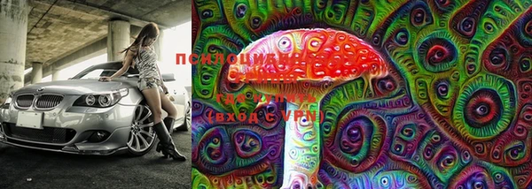 PSILOCYBIN Абинск
