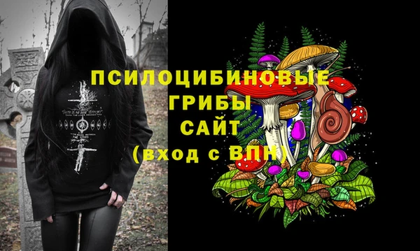 шишки Алексин