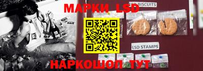 spice Аргун