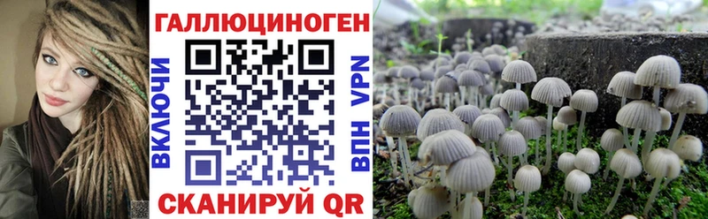 mega сайт  Анапа  Галлюциногенные грибы Psilocybe 