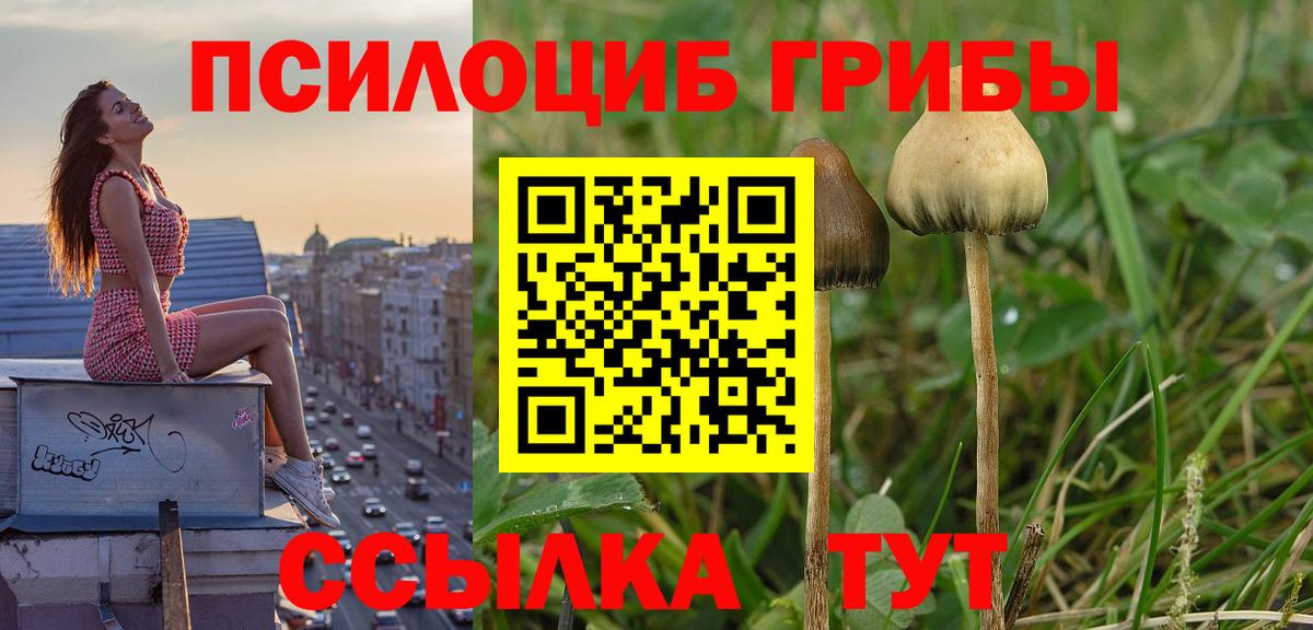 Анапа  Псилоцибиновые грибы GOLDEN TEACHER  Вход с VPN 