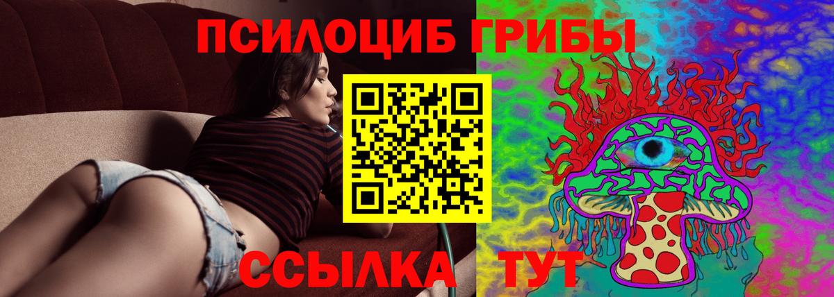 Псилоцибиновые грибы прущие грибы Анапа